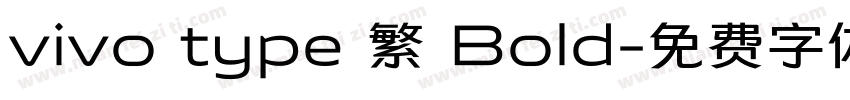 vivo type 繁 Bold字体转换